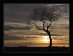 Tramonto Tramonto