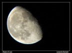 Chiaro di Luna Chiaro di Luna