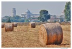Pisa mai vista Pisa mai vista