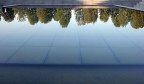 riflessi riflessi