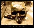 Golden Skull