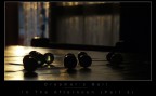 Dreamer's Ball Part 2 Dreamer's Ball Part 2