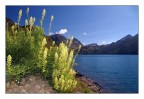 Paesaggio stupendo Paesaggio stupendo