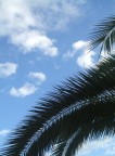 ancora voglia di mare ancora voglia di mare