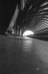 Questa foto � stata scattata alle 7 di mattina nella stazione di Milano, insolitamente calma... mi piaceva molto l'effetto "radice" che i contrafforti della struttura hanno avuto sul pavimento, deformandolo e alzandolo in alcuni punti
commenti e critiche non solo ben accetti, ma VOLUTI! :D
