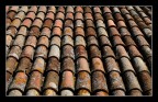roof roof