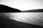lago lago