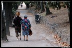 A passeggio, insieme... A passeggio, insieme...