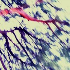 a buzz - pinidistrada