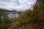 Norvegia2 Norvegia2