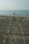 pescatore pescatore