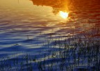 "il sole muove le onde..." "il sole muove le onde..."