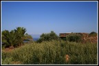 Pantelleria...tra terra e mare... Pantelleria...tra terra e mare...