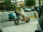 AL .. LADRO!! AL .. LADRO!!