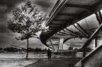 The bridge The bridge
