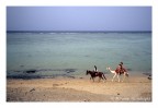 il deserto sul mare il deserto sul mare