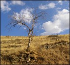 Panorama Panorama