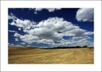 panorama panorama