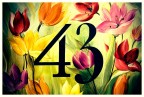 43