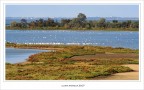 "La mia Africa" ... sotto casa "La mia Africa" ... sotto casa
