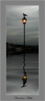 riflesso riflesso