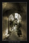 Vicolo Torre di Palme - Marche