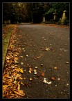 Cemetery Road Cemetery Road