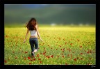 Welcome in Castelluccio Welcome in Castelluccio