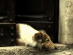 Guardiano Guardiano