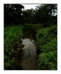 L'Acqua nel Verde L'Acqua nel Verde
