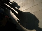 Illusione d'affetto Illusione d'affetto