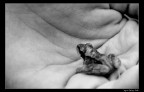vuole un bacio? vuole un bacio?