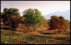 Autunno Autunno