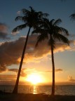 Tikehau Tikehau