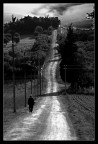 la strada la strada