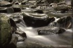 Torrente Torrente