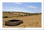 Monte Acuto #38