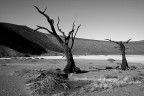 namibia desert 2 bn
