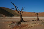 namibia desert 2