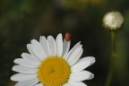 L'attesa L'attesa