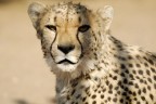 Namibia 15 Namibia 15