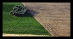 Agricoltura Agricoltura