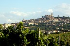 Fermo Fermo