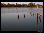 Reflections..pt.2 Reflections..pt.2