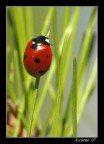 In cerca di un riparo dal vento In cerca di un riparo dal vento