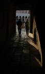 Shadows Shadows