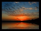 sunset sunset