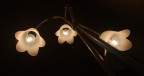 Lumiére Lumiére