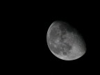 Luna Calante Luna Calante