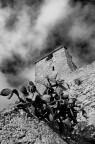Rovine Rovine